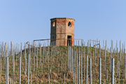 tenuta Toscana, Palaia Fattoria Villa Saletta - Il Torrino