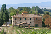 Landhäuser Bauernhäuser Toskana, Fattoria Fondi Rustici Peccioli - Landgut Il Gelso