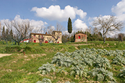 Italien Landhäuser Bauernhäuser Toskana, Montefoscoli - Fattoria Vaccà Berlinghieri - Landgut Torricchio II