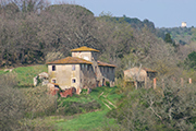 Landgüter Landhäuser Toskana, Fattoria Villa Saletta - Landgut Bauernhaus Mulinuccio