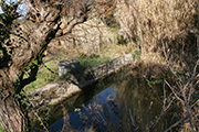 Landgüter Italien Toskana, Bauernhof Vallaia - Montefoscoli, Fischbecken