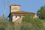 Bauernhaus Toskana, Montefoscoli - Landgut  Vignale