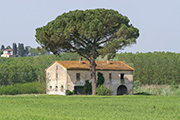Landhaus Bauernhaus Toskana, Montefoscoli Landgut Trieste