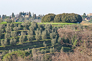 Bauernhaus Toskana, Landgut Torricchio I - Montefoscoli