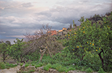 Landgut bei Roccalumera Sizilien