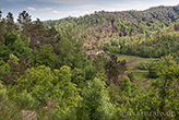 Landgüter Italien Toskana, Landschaft Val d'Egola