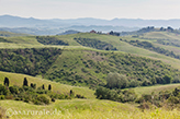 Toskana Landgüter, Landschaft Fotograf Toskana Italien