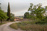 Toskana Landgut Bauernhof kaufen, Landhaus Montefoscoli