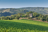 Toskana verlassenes Landgut, Chianti Weinberge