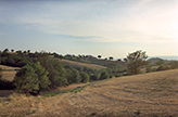 Italien Landgüter Bauernhöfe, Landschaft Landgut Toskana