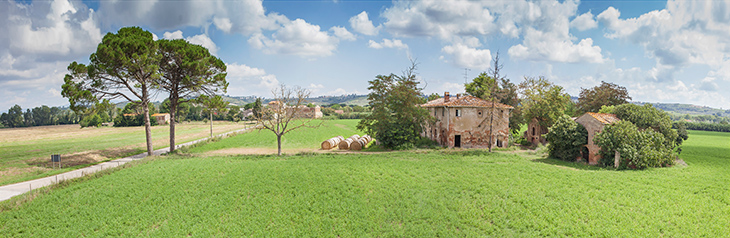 Podere con casa rurale e due fienili Italia Toscana, Fattoria Canneto Val d'Elsa