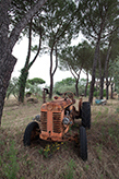 Landgut Toskana, alter Traktor 