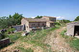 Landgut Toskana, Bauenrhaus bei Barberino Val d'Elsa - Schweinestall 