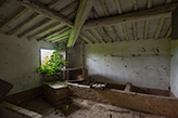 Bauernhaus Nunziata, Landgut Landhaus Toskana - Valdera / Palaia 