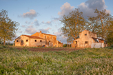 Landhaus kaufen Toskana, Landgut Bauernhaus Pian dell'Ospedale - Maremma/Manciano