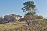 Landgut Landhaus Toskana, Bauernhaus Testaferrata - Valdelsa/Castelfiorentino