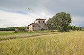 Landgut Landhaus Toskana, Bauernhaus Il Poderino - Val d'Era /Capannoli 