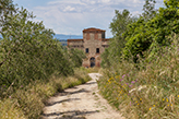 Landgut kaufen Landhaus Toskana, Bauernhaus Vallaia - Valdera/Palaia 