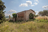 Scheune Landgut Casa Nova, Landhaus Toskana - Valdelsa/Certaldo 