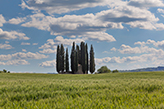 Toskana Landgut Abbazia Di San Piero in Campo  - Val d'Orcia