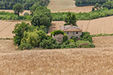 Toskana Landgut Fontana - Valdelsa/Castello Oliveto