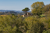 Toskana Landgut Ferienhaus La Sala  - Valdera/Montefoscoli 