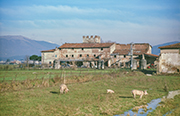 Bauernhaus Toskana, Foto Biffoli 