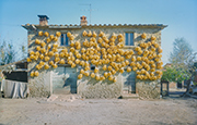 Bauernhaus Toskana, Foto Biffoli 