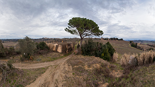 casa rurale con pino in Toscana, casa in vendita