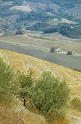 Landgut Cedri Toskana, verlassenes Bauernhaus