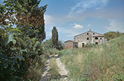 case rurali Toscana Pisa Montefoscoli, Podere Paralesi in abbandono