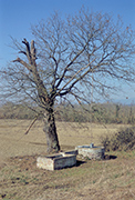 Brunnen Landgut La Badia - Montefoscoli Toskana