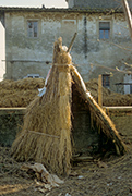 Bauernhof Toskana, Landgut La Badia, Aufnahme aus um 1980