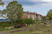 Landgut Toskana Monte Amiata kaufen