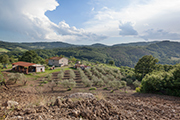 Bauernhof Casalino mit Bauernhaus und Ställen kaufen, kleines Landgut Toskana Maremma