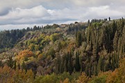 Landgut Toskana, Landwirtschaft Italien kaufen, Villa Bauernhäuser