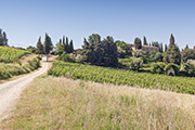 Weingut Toskana kaufen